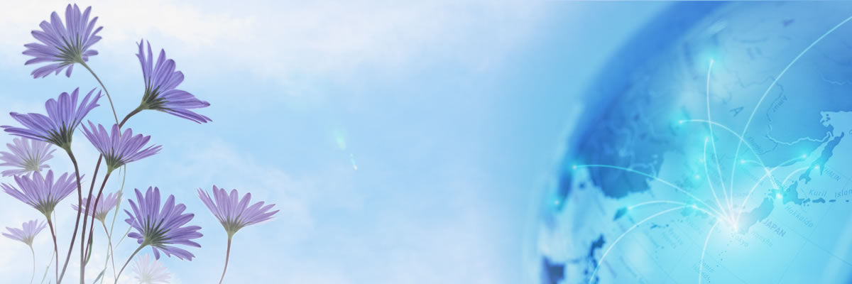 COSMOS行政書士事務所
